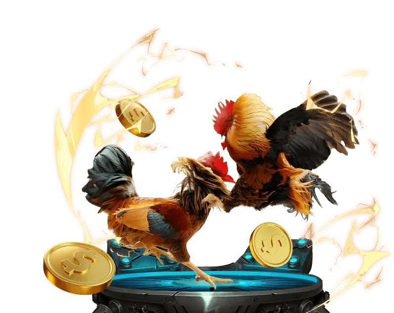 Chơi đá gà trên di động